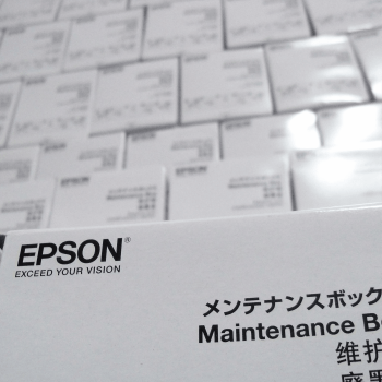Caixa De Manutenção Original Epson T04d1